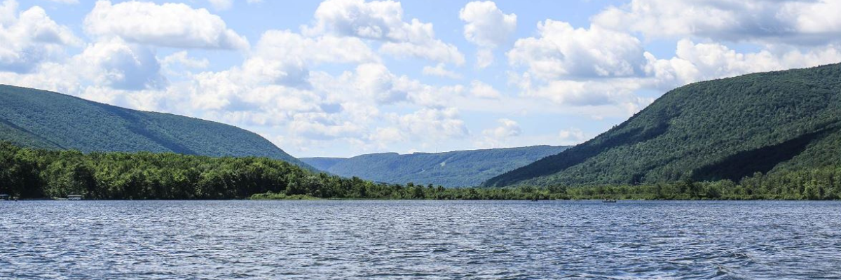 Untitled design - 2024-06-05T125426.461