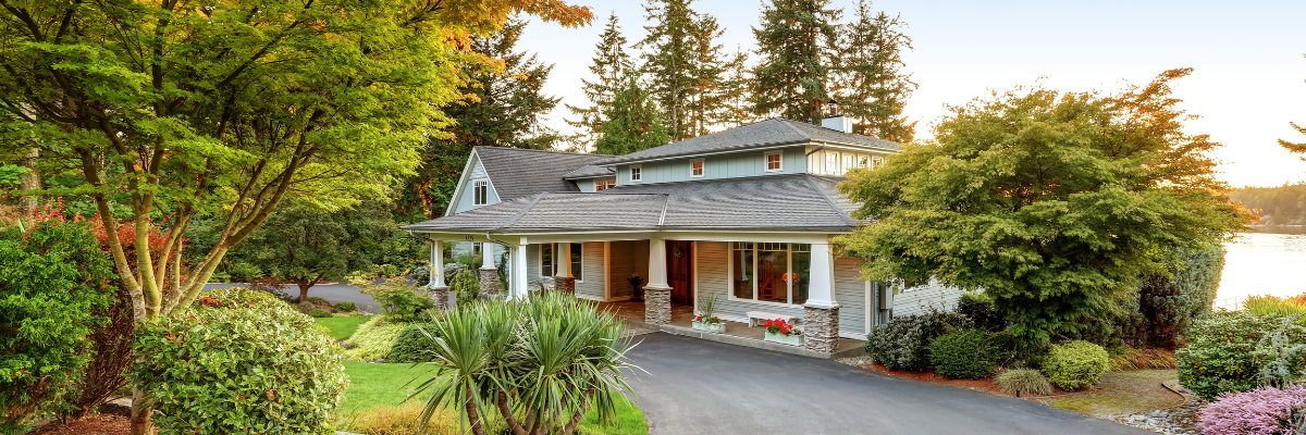 Untitled design - 2024-06-10T161843.796